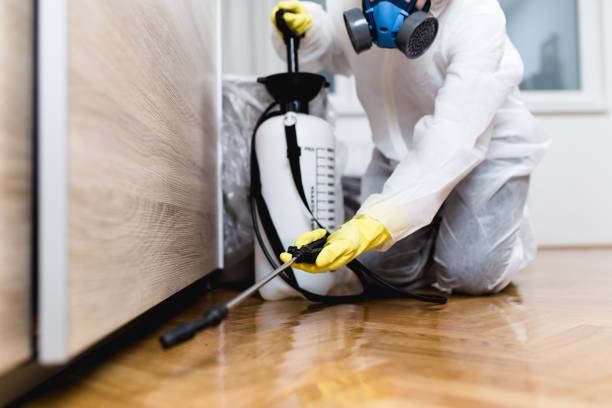 Best Wasp Removal Services  in Prairie Ridge, WA