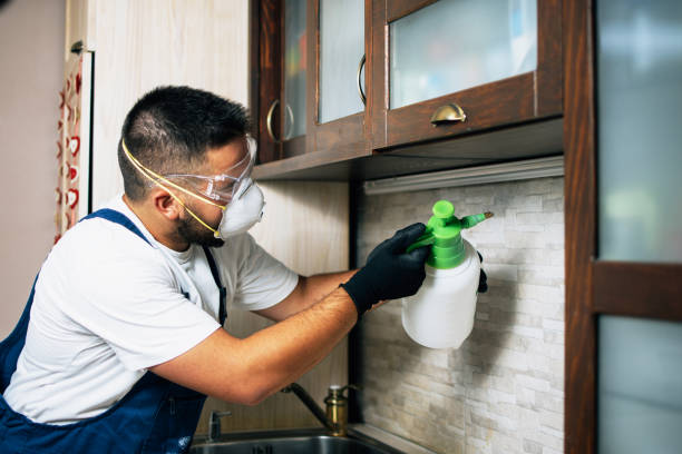 Best Best Pest Control Companies  in Prairie Ridge, WA