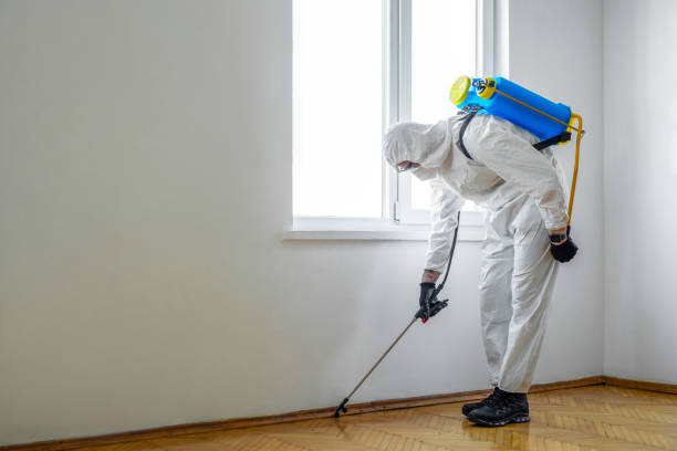 Best Rat Extermination Near Me  in Prairie Ridge, WA