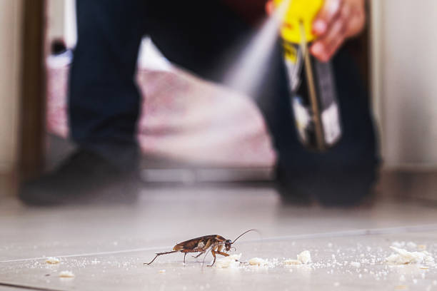 Best Local Pest Control Services  in Prairie Ridge, WA