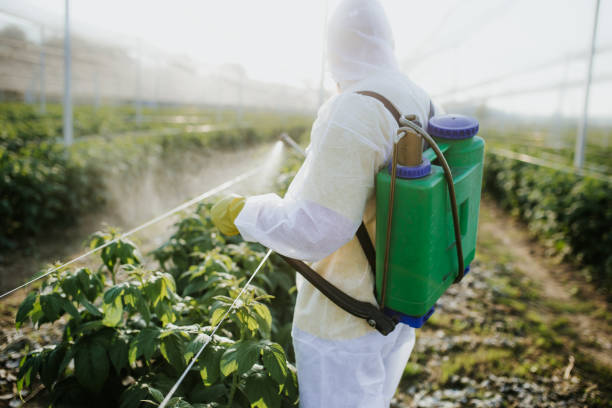 Best Residential Pest Control  in Prairie Ridge, WA